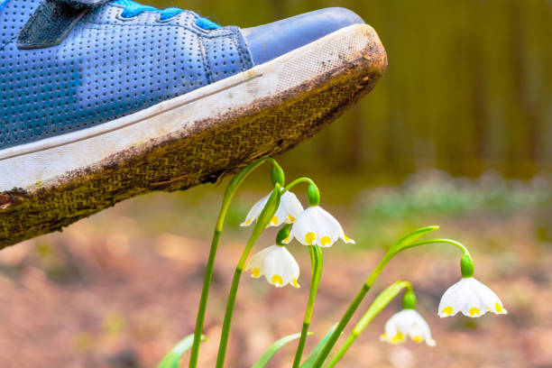 Make Mother’s Day Unforgettable with a Personalized Video Greeting
