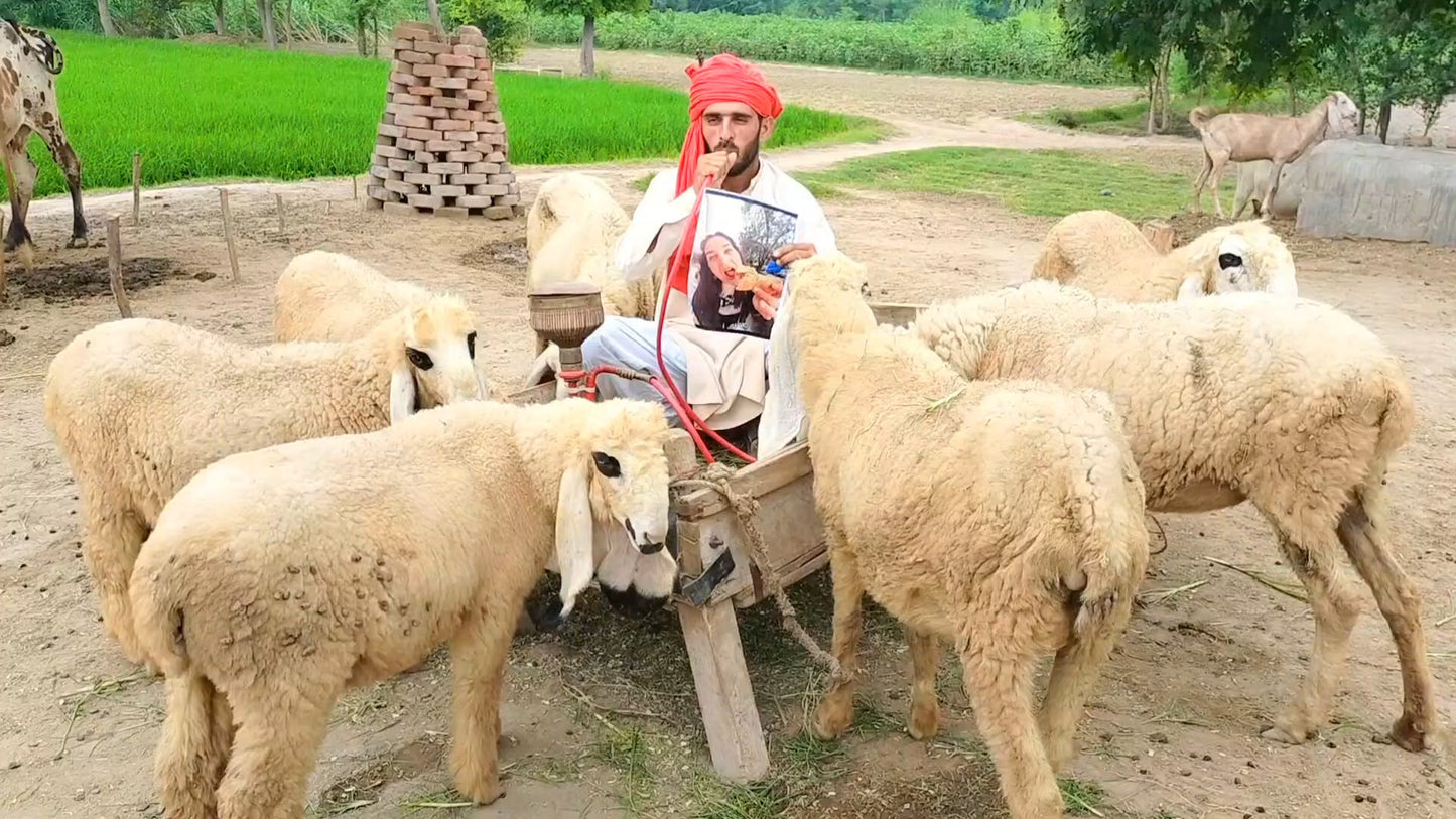 Personalised Pakistani birthday video greeting funny farm crew with sheep holding personalised birthday message sign in rural Pakistan setting
